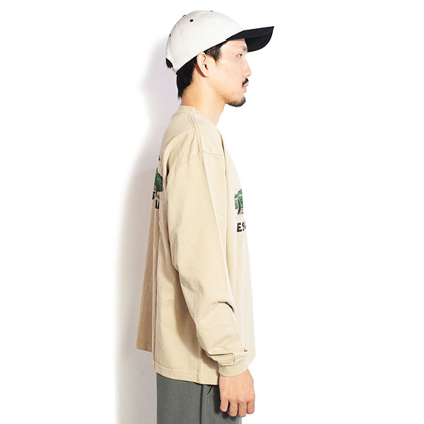 The Endless Summer エンドレスサマー TES 4 BUHI CHASING THE WAVES LONG SLEEVE T-SHIRT -BEIGE- メンズ Tシャツ atftps