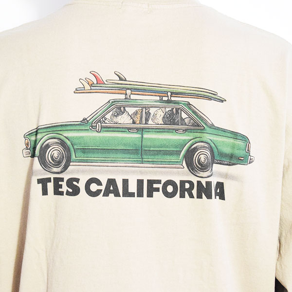 The Endless Summer エンドレスサマー TES 4 BUHI CHASING THE WAVES LONG SLEEVE T-SHIRT -BEIGE- メンズ Tシャツ atftps
