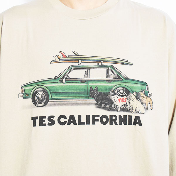 The Endless Summer エンドレスサマー TES 4 BUHI CHASING THE WAVES LONG SLEEVE T-SHIRT -BEIGE- メンズ Tシャツ atftps