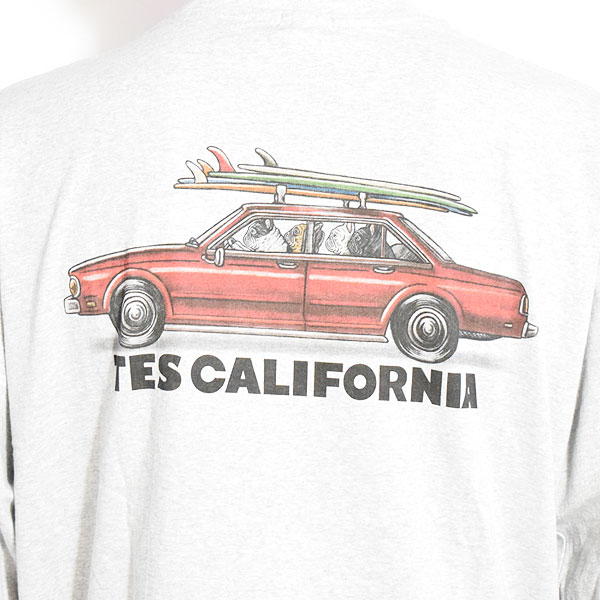 The Endless Summer エンドレスサマー TES 4 BUHI CHASING THE WAVES LONG SLEEVE T-SHIRT -MIX GRAY- Tシャツ atftps