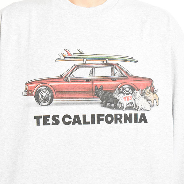 The Endless Summer エンドレスサマー TES 4 BUHI CHASING THE WAVES LONG SLEEVE T-SHIRT -MIX GRAY- Tシャツ atftps