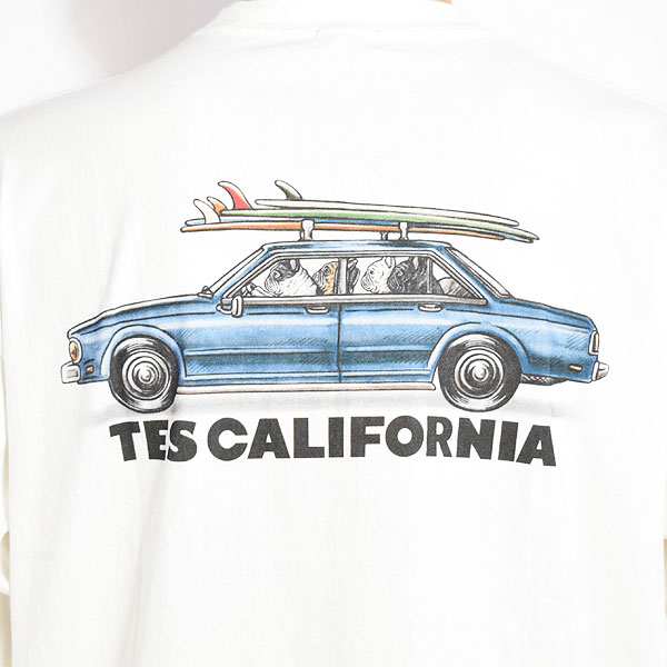 The Endless Summer エンドレスサマー TES 4 BUHI CHASING THE WAVES LONG SLEEVE T-SHIRT -WHITE- メンズ Tシャツ atftps