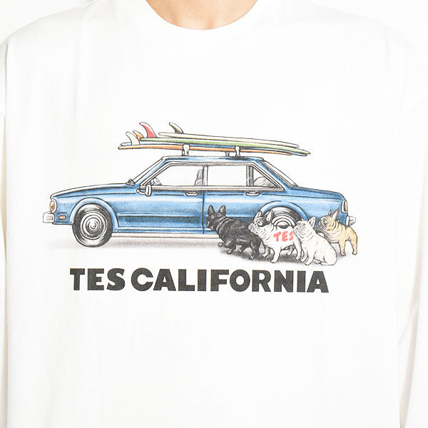 The Endless Summer エンドレスサマー TES 4 BUHI CHASING THE WAVES LONG SLEEVE T-SHIRT -WHITE- メンズ Tシャツ atftps