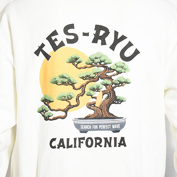 The Endless Summer エンドレスサマー TES CAL LOCAL SWEAT PARKA -WHITE- メンズ パーカー プルオーバー TES 送料無料 atftps