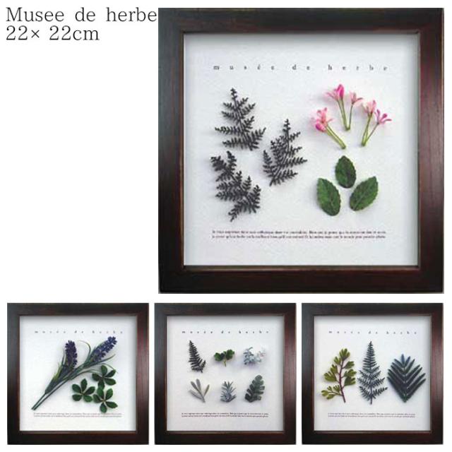 ハーブフレーム フラワーフレーム アートフレーム 花 植物 Musee De Herbe フレーム リーフフレーム インテリアの通販はau Pay マーケット Zakka Green