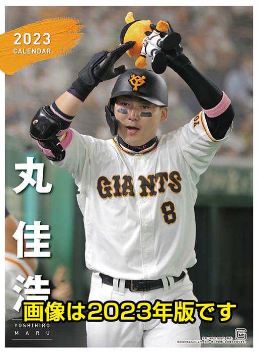 カレンダー 2024 壁掛け 2024年 スポーツ 丸佳浩 読売ジャイアンツ A2