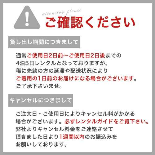 レンタル】 訪問着 レンタル 19点フルコーディネートレンタルセット