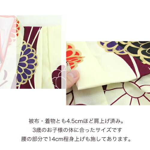 七五三 3歳 レンタル 女の子 被布着物8点セット「生成りと紫の染め分けにレトロ八重菊/被布：クリーム」