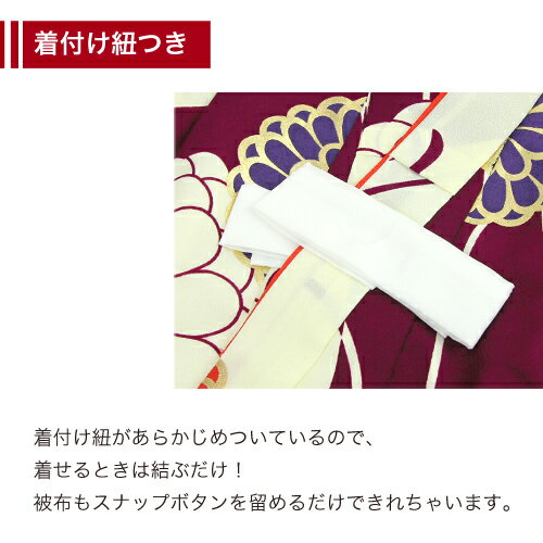七五三 3歳 着物 レンタル 女の子 被布着物8点セット「生成りと紫の染め分けにレトロ八重菊/被布：染め分け」_4