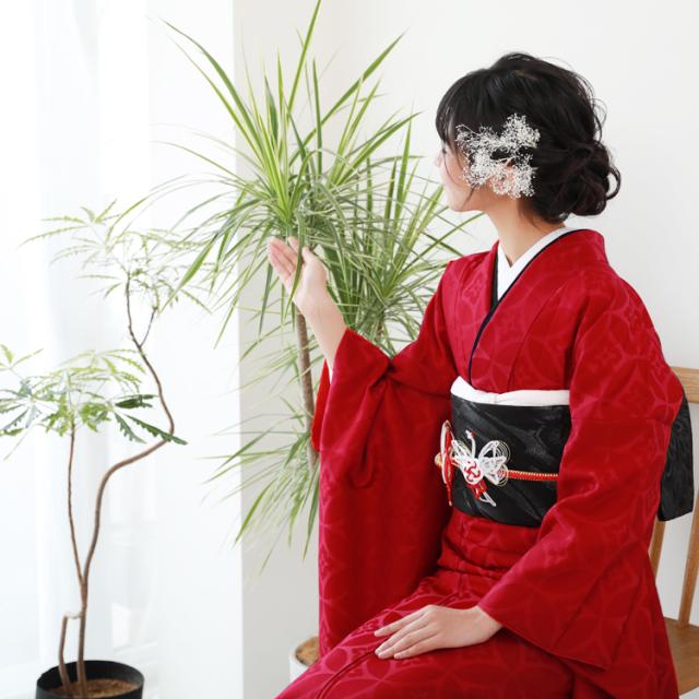 最大20日間レンタル 振袖 成人式 レンタル シンプル21点フルセット 「赤地に花紋」 成人式 結婚式 フォーマル 赤 地紋 赤色_5