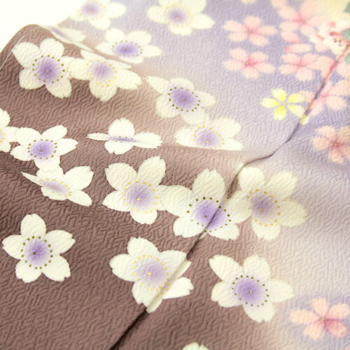 訪問着 レンタル 19点フルコーディネートレンタルセット 着物 披露宴