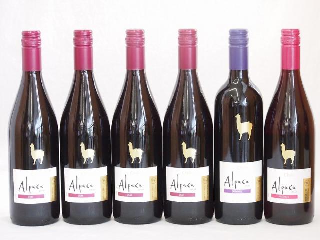 チリ産ワインアルパカ6本セット(赤ピノ・ノワール(ミディアムボディ) 赤シラー(フルボディ) 赤カルメネール(フルボディ)) 750ml×6本の通販は 5,980円