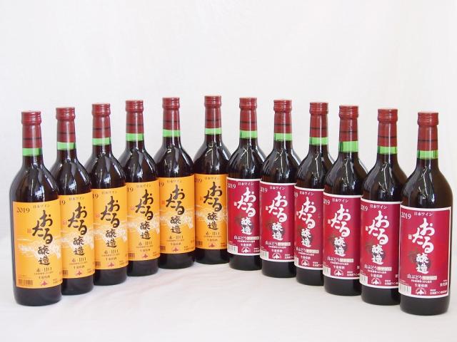おたる甘口ワイン12本セット(赤ワイン生葡萄酒 甘口 赤ワイン生葡萄酒 山ぶどうやや甘口) 720ml×12本の通販は