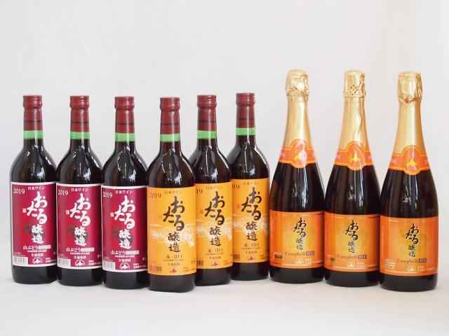 おたるワイン9本セット(キャンベルスパークリング赤ワインやや甘口 赤ワイン生葡萄酒 甘口 赤ワイン生葡萄酒 山ぶどうやや甘口) 720ml×9本
