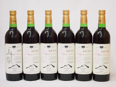 山梨県産マスカット・ベーリー6本セットA赤ワイン(中重口)750ml×6 8,455円