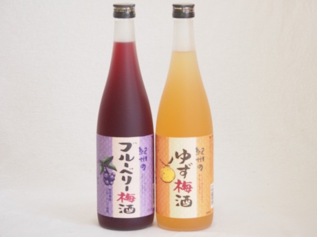 純正特注品 果物梅酒2本セット(岩手県産ブルーベリー梅酒 ぷかぷか柚子