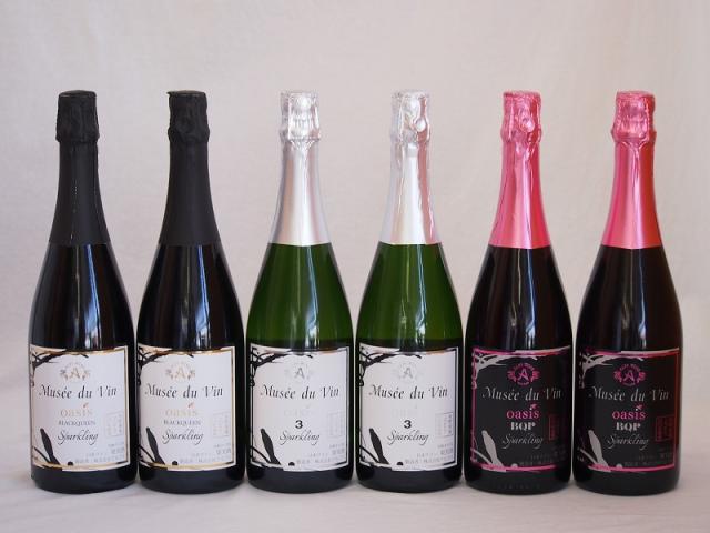 果実味豊かな辛口スパークリングワイン6本セット(ミュゼドゥヴァン ブラッククイーンピンク辛口 ミュゼドゥヴァン ブラッククイーン白辛口 ミュゼドゥヴァン スリー白辛口) 750ml×6本 11,506円