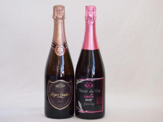 果実味豊かなロゼスパークリングワイン2本セット(ミュゼドゥヴァン ブラッククイーンピンク辛口 ロジャー グラート カヴァ ロゼ(スペイン)) 750ml×2本の通販は 5,980円