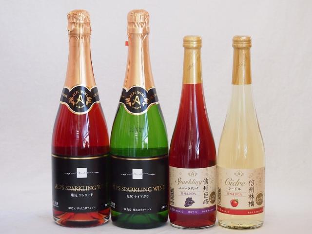 果実味豊かなスパークリングワイン4本セット(塩尻コンコード スパークリングロゼやや甘口 信州巨峰スパークリング 信州林檎シードル 塩尻ナイアガラ スパークリングやや甘口) 720ml×2本 500ml×2本
