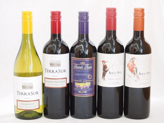 チリ産赤白ワイン5本セット(テラスルカベルネソーヴィニヨン デルスールカベルネ デルスールカルメネール フエンテフルータカベルネ テラスルシャルドネ) 750ml×5本の通販は 5,980円