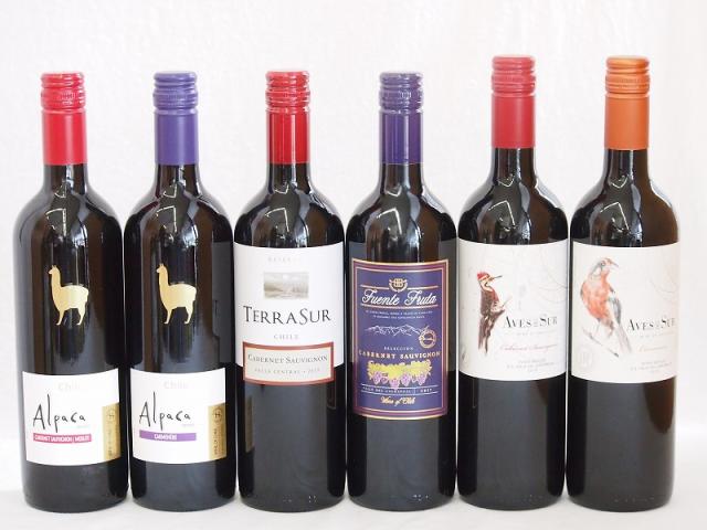 チリ産赤ワイン6本セット(テラスルカベルネソーヴィニヨン デルスールカベルネ デルスールカルメネール フエンテフルータカベルネ アルパカカルメネール アルパカカベルネ・メルロー) 750ml×6本の通販は 5,502円