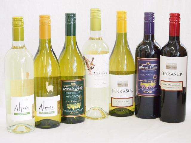 チリ産赤白ワイン7本セット(テラスルカベルネソーヴィニヨン フエンテフルータカベルネ テラスルシャルドネ デルスールソーヴィニヨン 白シャルドネ・セミヨン 白ソーヴィニヨン・ブラン フエンテフルータシャルドネ) 750ml×7本