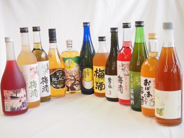 豪華梅酒12本セット(おばあちゃんの梅酒 芋焼酎仕込五代梅酒(鹿児島) 宇治玉露梅酒(京都) 赤しそ赤い梅酒(和歌山) 樽熟梅酒天空の月(大分の通販は