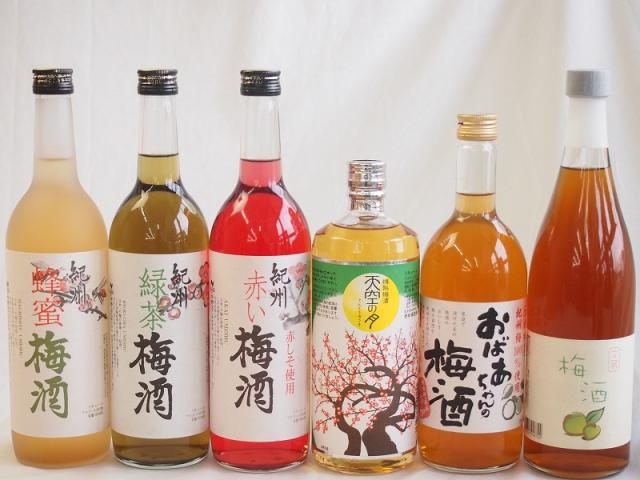 豪華梅酒6本セット(おばあちゃんの梅酒 赤しそ赤い梅酒(和歌山) 樽熟梅酒天空の月(大分) 文蔵梅酒(熊本) 蜂蜜梅酒(和歌山) 緑茶梅酒(和歌山)) 720ml×6本