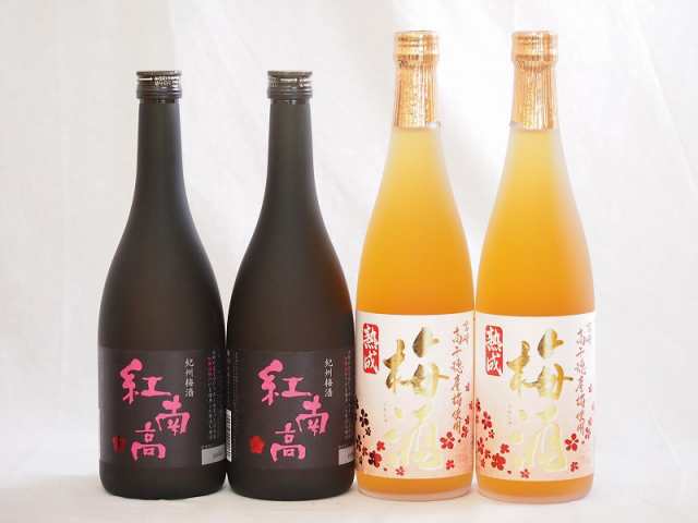 梅酒4本セット(紅南高梅酒20度(和歌山) 高千穂産梅使用熟成梅酒) 720ml×4本