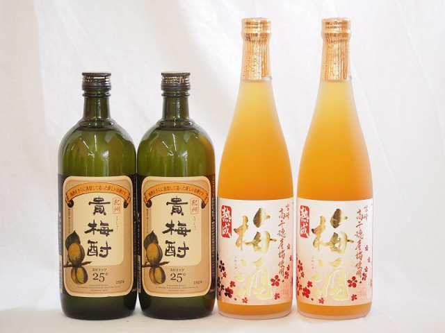 梅酒4本セット(貴梅酎スピリッツ25度(和歌山) 高千穂産梅使用熟成梅酒) 720ml×4本