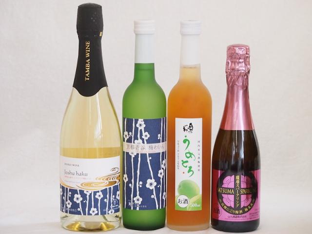 梅酒特集4本セット(薩摩スパークリングにごり梅酒梅太夫(鹿児島) 京都フルーツ白梅スパークリングワインやや甘口(京都) 京都青谷梅わいん(京都) 奥の松純米酒ベースうめとろ(福島)) 375ml×1本 750ml×1本 500ml×2本の通販は