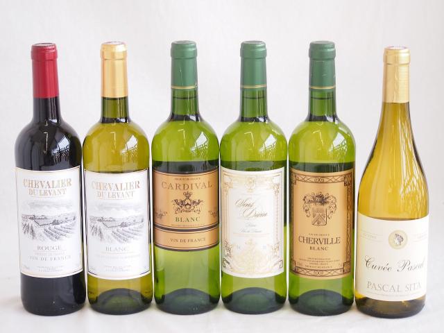 フランス赤白ワイン6本セット(シュバリエ・デュ・ルヴァン ルージュ シュバリエ・デュ・ルヴァン ブラン カルディヴァル ブラン サンディヴァン ブラン シャルヴィーユ ブラン) 750ml×6本