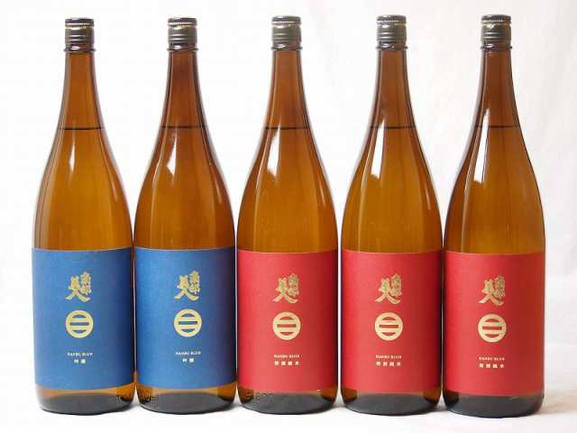 南部美人セット 吟醸2本 特別純米酒3本 (岩手県)1800ml×5本の通販は