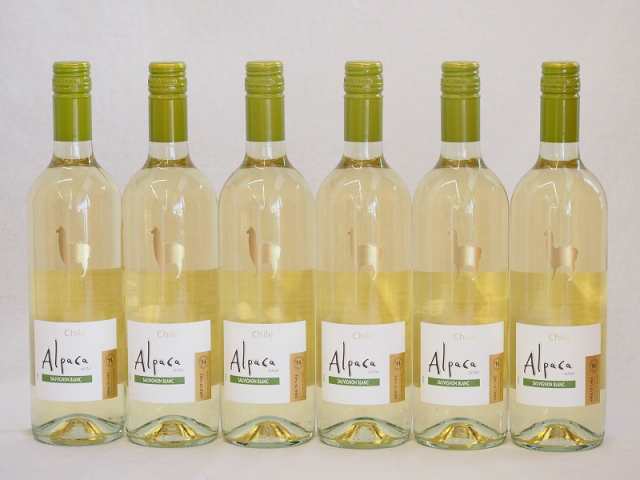 6本セット(チリ白ワイン アルパカソーヴィニヨン・ブラン(チリ)) 750ml×6本の通販は 5,980円