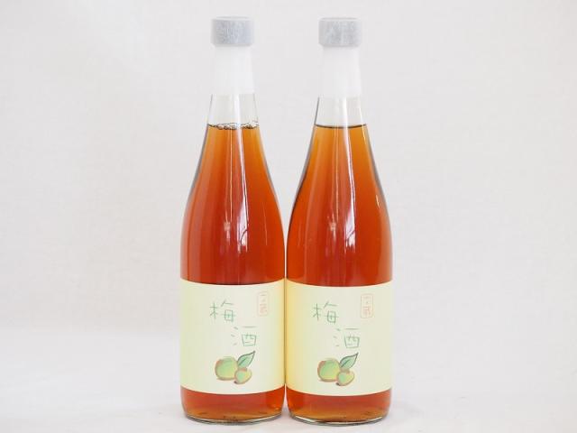 2本セット(梅酒文蔵18度(熊本県)) 720ml×2本の通販は