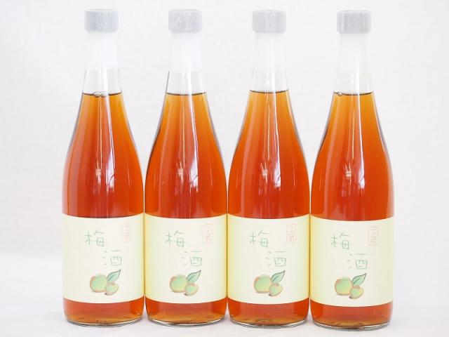 4本セット(梅酒文蔵18度(熊本県)) 720ml×4本