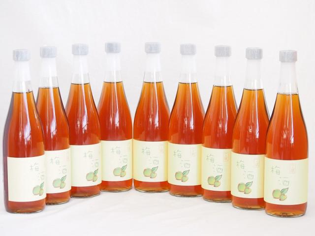 9本セット(梅酒文蔵18度(熊本県)) 720ml×9本の通販は
