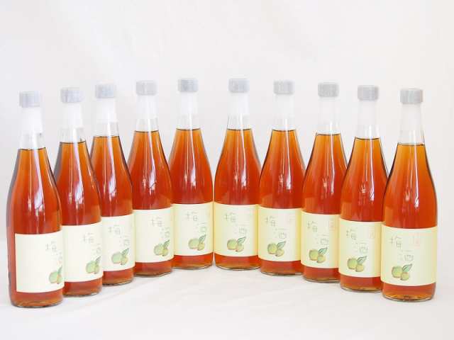 10本セット(梅酒文蔵18度(熊本県)) 720ml×10本 16,775円