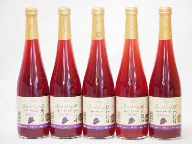 信州巨峰 スパークリングワインセット 信州産100% やや甘口(長野県)500ml×5の通販は