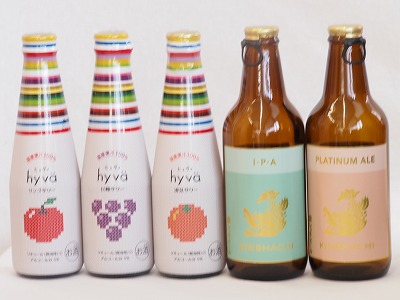 クラフトビールとリキュール5本セット(ヒュヴァ リンゴサワーalc.5% ヒュヴァ 巨峰サワーalc.5% ヒュヴァ 清見サワーalc.5% インディアペール プラチナエール) 200ml×3本 330ml×2本