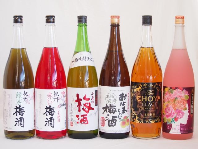 こんな梅酒福袋が欲しかったぁ　飲み比べ6本セット（中野BC 赤い梅酒 緑茶梅酒 小正の梅酒 中埜酒造 おばあちゃんの梅酒 中埜酒造 ローズ