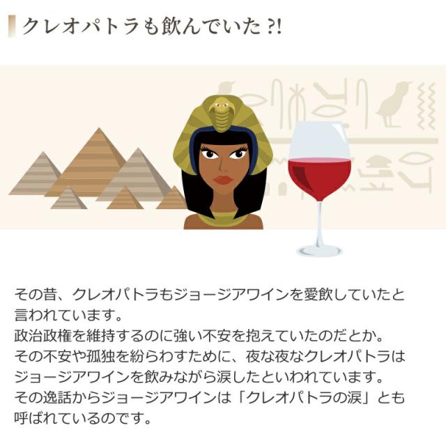 9本セット テリアニ・ヴァレー ムタヴルリ アラザニヴァレー 白ワイン 中甘口(ジョージア)750ml×9本_5