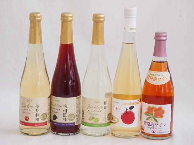 国産微発泡フルーツワイン5本セット(シャインマスカット＆ナイアガラ シードルCidre おたる微発泡キャンベルロゼ 信州林檎 信州巨峰) 500ml×の通販は 6,980円