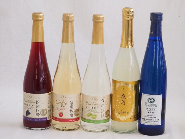 フルーツワイン5本セット(シャインマスカット＆ナイアガラ 国産ナイアガラ なしの梨園 信州林檎 信州巨峰) 500ml×5本の通販は 6,073円