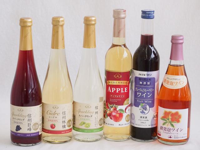 選りすぐりフルーツワイン6本セット(シャインマスカット＆ナイアガラ グレープ＆ブルーベリー アップルワイン おたる微発泡キャンベルロゼ 信州林檎 信州の通販は 6,980円