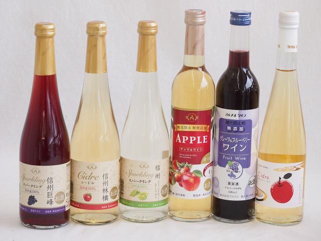 選りすぐりフルーツワイン6本セット(シャインマスカット＆ナイアガラ シードルCidre グレープ＆ブルーベリー アップルワイン 信州林檎 信州巨峰) の通販は 6,544円