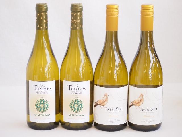 産地別白ワインシャルドネ4本セット(ビーニャ デル デルスール(チリ) レ タンヌ オクシタン(フランス)) 750ml×4本の通販は 5,980円
