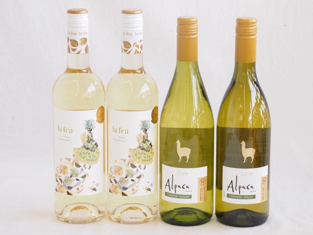 産地別白ワインシャルドネ4本セット(サンタ ヘレナ アルパカ(チリ) ラ フェア ヴィウラ(スペイン)) 750ml×4本の通販は 5,980円