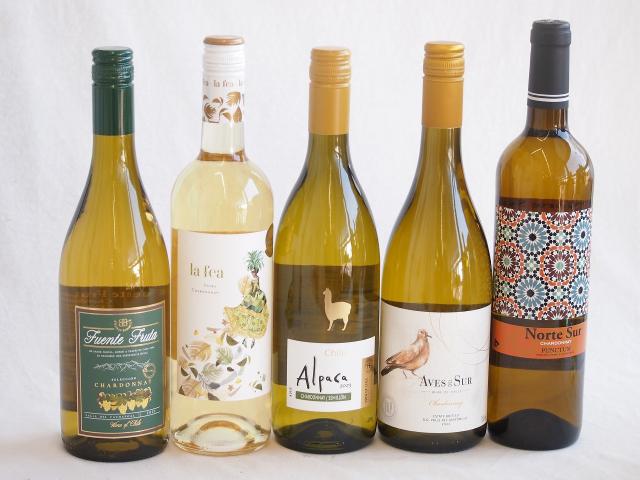 世界で香り愛される白葡萄シャルドネワイン5本セット(ラ フェア ヴィヴラ(スペイン) フエンテ フルータ(チリ) サンタ・ヘレナ・アルパカ(チリ) デル スール(チリ) ノルテ スル(チリ)) 750ml×5本の通販は