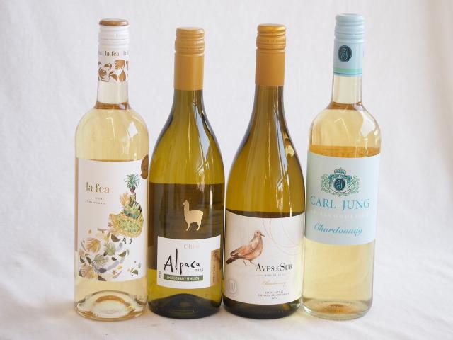 世界で香り愛される白葡萄シャルドネワイン4本セット(ラ フェア ヴィヴラ(スペイン) サンタ・ヘレナ・アルパカ(チリ) デル スール(チリ) カールユング脱アルコール(ドイツ)) 750ml×4本の通販は